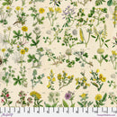 Palette PWTH245.YELLOW Yellow Botanical by Tim Holtz for FreeSpirit