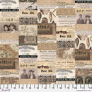 Palette PWTH250.NEUTRAL Neutral Collage by Tim Holtz for FreeSpirit