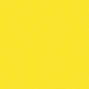 Phosphor A-9354-Y Neon by Libs Elliott for Andover