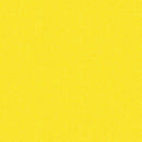 Phosphor A-9354-Y Neon by Libs Elliott for Andover