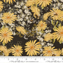Pollinators 48811-20 Onyx Daisies by Robin Pickens for Moda