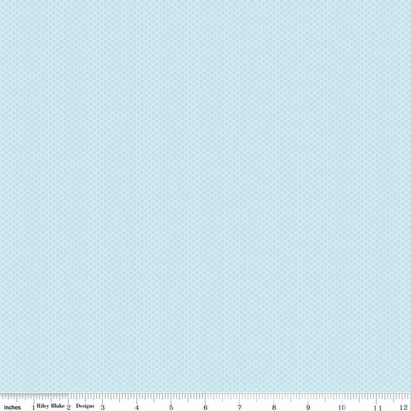 POParazzi Flannel F805-BABYBLUE by RBD Designers for Riley Blake Designs