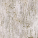 Poppy Meadow DP29091-12 Wash Texture Taupe by Northcott Studio for Northcott
