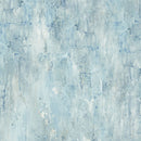Poppy Meadow DP29091-42 Wash Texture Blue by Northcott Studio for Northcott
