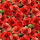 Poppy Passion POPPY-CD3802 BLACK Large Poppy Floral by Chong-a Hwang for Timeless Treasures