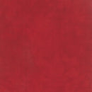 Primitive Muslin Flannel F1040-38 Christmas by Primitive Gatherings for Moda.