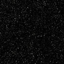 Quilt Doodle Drops R190747D BLACK Drops by Cindy Staub for Marcus Fabrics