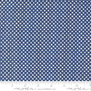 Raspberry Summer 37697-20 Blueberry Gingham by Sherri & Chelsi for Moda