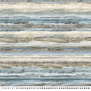 Running Free DP28588-42 Texture Ombré Blue Multi by Deborah Edwards for Northcott