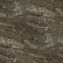 Running Free DP28594-36 Granite Dk Brown by Deborah Edwards for Northcott