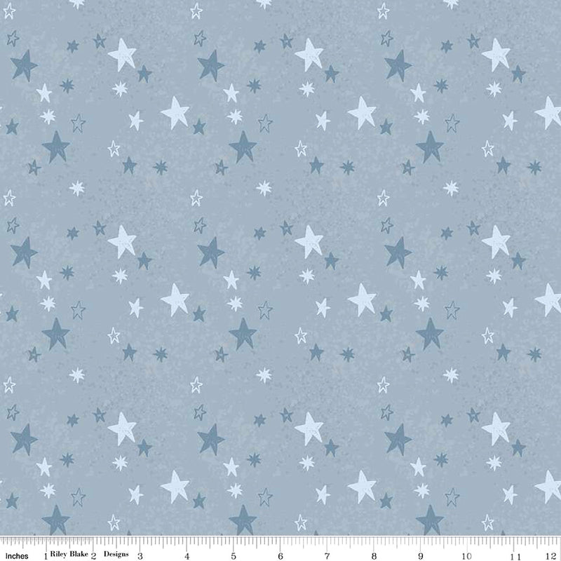 Safari Stargazing Flannel F15311-BLUE Boy Stars by RBD Designers for Riley Blake Designs