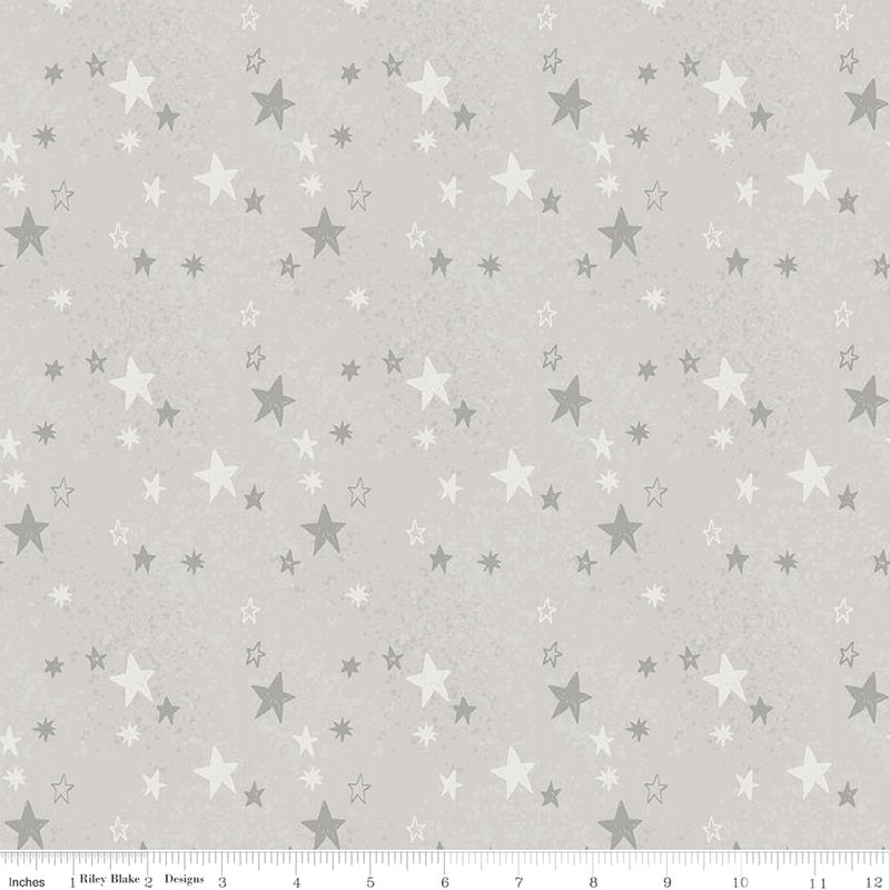 Safari Stargazing Flannel F15311-GRAY Boy Stars by RBD Designers for Riley Blake Designs