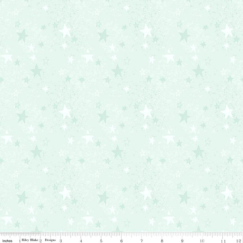 Safari Stargazing Flannel F15314-MINT Girl Stars by RBD Designers for Riley Blake Designs