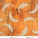 Scary Spice 8826-31 Tangerine Moon Web by Funny Girl for Studio e Fabrics