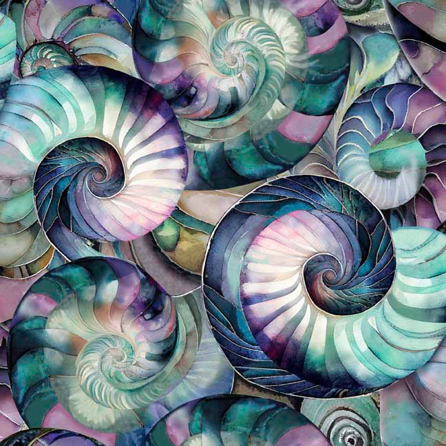 Seashell Soiree 30302-X Multi Clustered Shells by Sasha for QT Fabrics