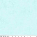 Shades C200-31-AQUA-MARINE by RBD Designers for Riley Blake Designs