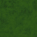 Shades C200-47-MOUNTAIN-GREEN by RBD Designers for Riley Blake Designs
