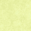 Shadow Play Flannel MASF513-G71 Sprout by Maywood Studio