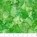 Shenanigans DP28642-76 by Deborah Edwards and Emily Wenk for Northcott