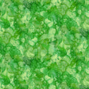 Shenanigans DP28642-76 Texture Mid Green by Deborah Edwards and Emily Wenk for Northcott