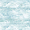 Smooth Sailing DP28910-42 Clouds Lt Blue by Deborah Edwards for Northcott
