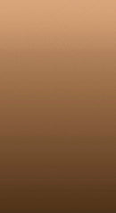 Stipple Strata 10344-37 Espresso by Patrick Lose Fabrics