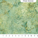 Stonehenge Gradations II 26756-780 Pine Ridge Light Quartz by Linda Ludovico for Northcott