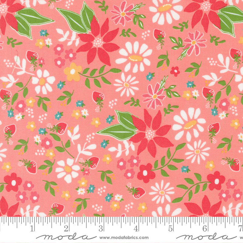 Strawberry Lemonade 37670-12 Carnation by Sherri & Chelsi for Moda