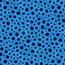 Strong Earth Woman 39003-BLUE by Leah Marie Dorion for Elizabeth's Studio