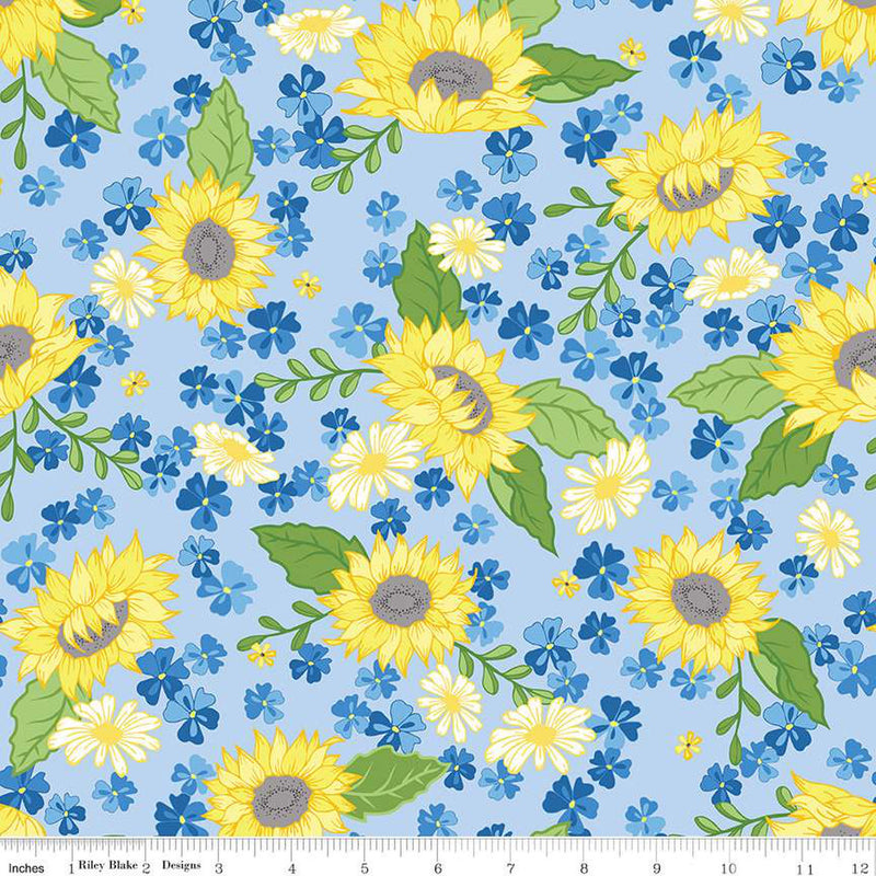 Sunny Skies C14630-SKY Main by Jill Finley for Riley Blake Designs