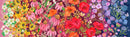 Superbloom 48780-12 Jewel Wildflowers Ombré by Robin Pickens for Moda