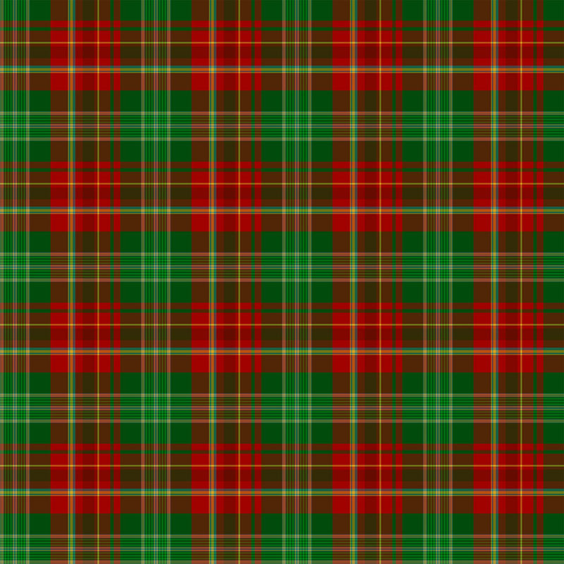 Tartan Traditions of Canada W25579-24 New Brunswick Red Multi by NC Studio for Northcott