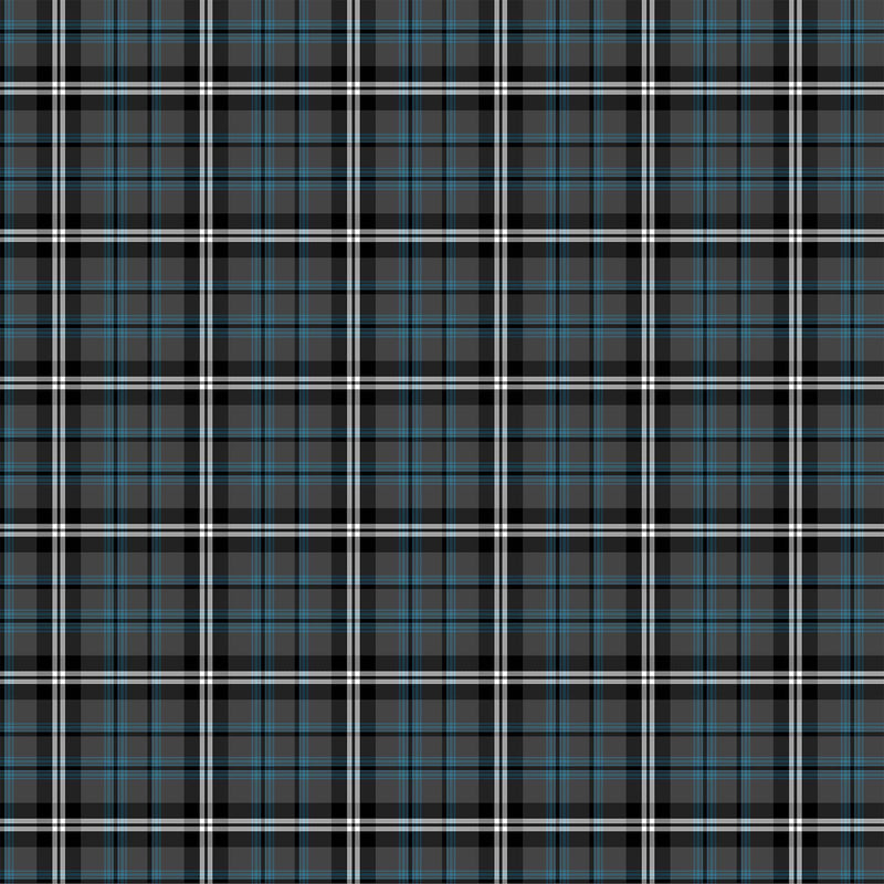 Tartan Traditions of Canada W25584-96 Nunavut Gray Multi by NC Studio for Northcott