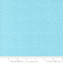 Thatched 48626-211 Frost by Robin Pickens for Moda