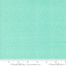 Thatched 48626-212 Aqua by Robin Pickens for Moda