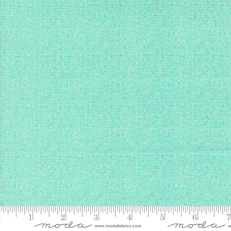 Thatched 48626-212 Aqua by Robin Pickens for Moda