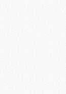 Tiny Tonals TT19.1 Tiny berries white on white by Lewis & Irene