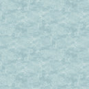 Toscana 9020-40 Morning Mist by Deborah Edwards for Northcott