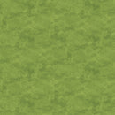 Toscana 9020-731 Aloe Vera by Deborah Edwards for Northcott