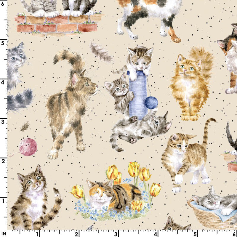 Whiskers & Paws MAS10414-E Directional Cats Cream by Hannah Dale for Maywood Studio