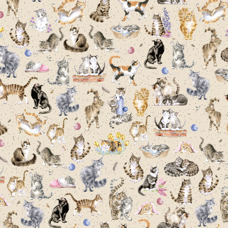 Whiskers & Paws MAS10414-E Directional Cats Cream by Hannah Dale for Maywood Studio