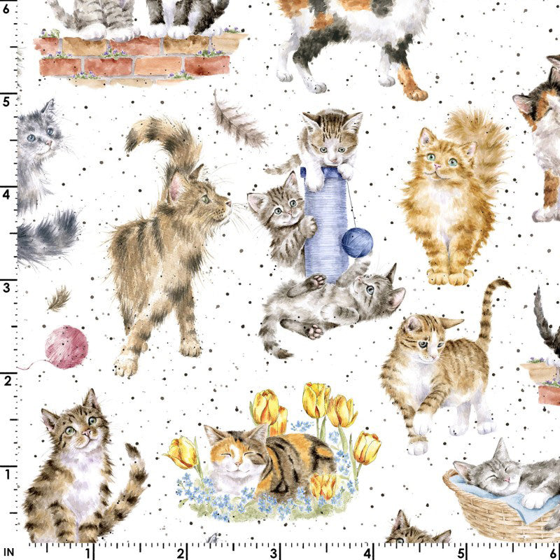 Whiskers & Paws MAS10414-W Directional Cats White by Hannah Dale for Maywood Studio