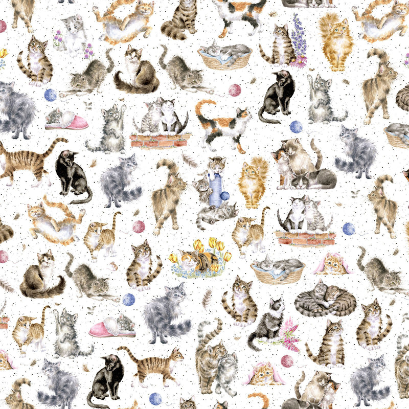 Whiskers & Paws MAS10414-W Directional Cats White by Hannah Dale for Maywood Studio