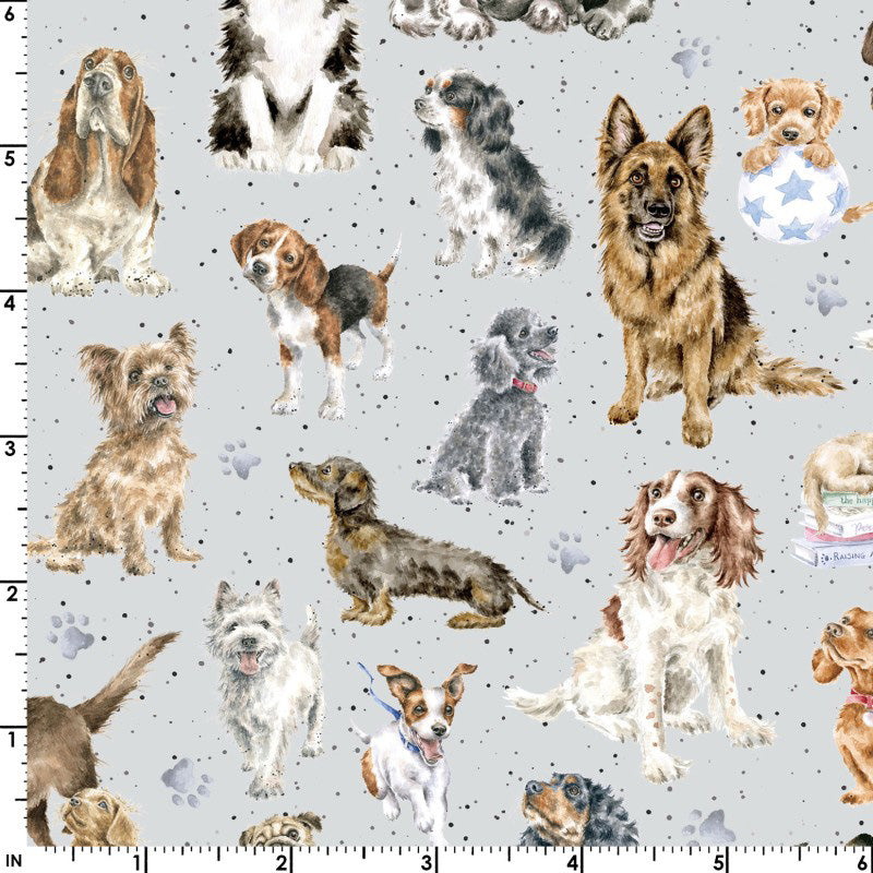 Whiskers & Paws MAS10415-K Directional Dogs Grey by Hannah Dale for Maywood Studio