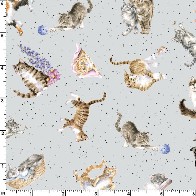 Whiskers & Paws MAS10416-K Tossed Cats Grey by Hannah Dale for Maywood Studio