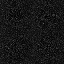 Whispering Woods V7163-213S Onyx/Silver by Hoffman Fabrics