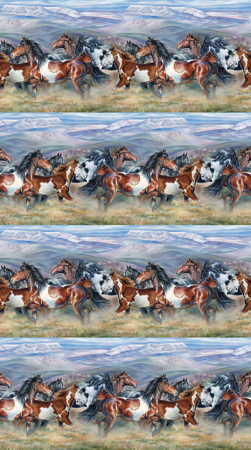 Wild and Free DP27601-42 Blue Multi Border Stripe by Rick Unger for Northcott