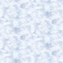 Wild At Heart - Naturescapes 28197-42 Lt Blue Clouds by Northcott Studio for Northcott