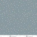 Wildwood Whimsy 3202-77 Lake Blue Summer Rain by Juliah Tiedemann for Blank Quilting Corp.