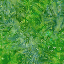 Wintergreen Batik AMD-21067-375 Sprout by Lunn Studios for Artisan Batiks. Robert Kaufman Fabrics.